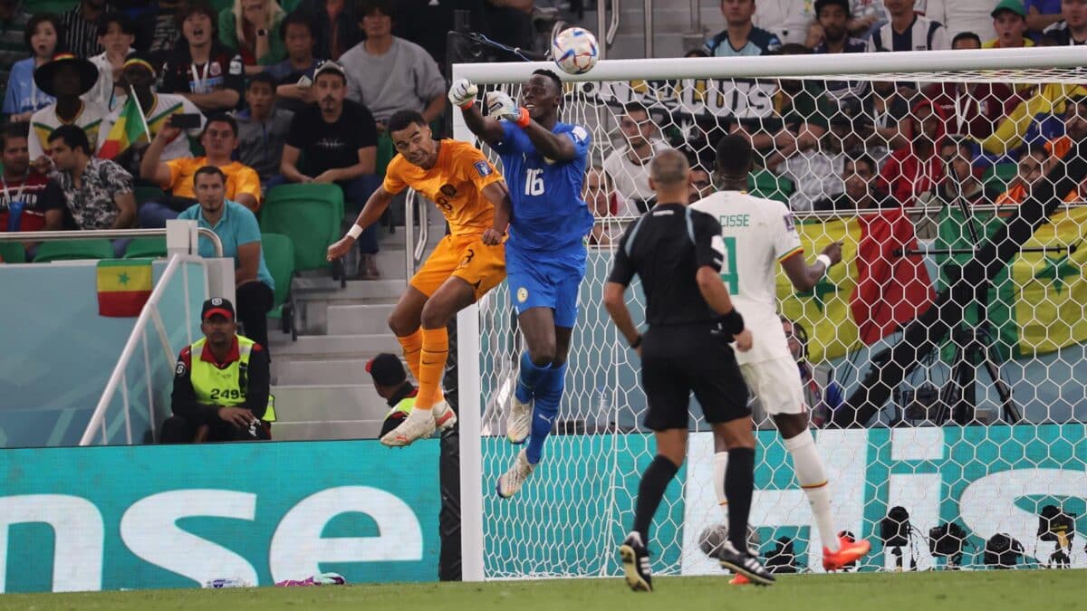 Cody Gakpo remata a gol ante la salida en falso del portero de Senegal, Edouard Mendy.