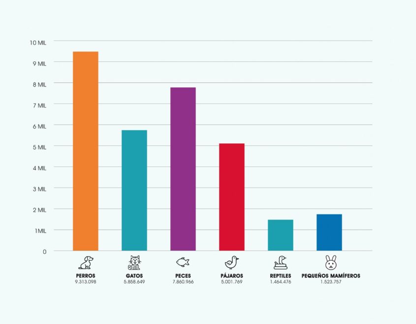 Cuántos animales hay en España: infografía que detalla cuántos perros, gatos, peces, pájaros, reptiles, conejos y roedores hay en España
