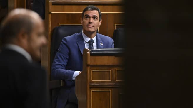 El presidente del Gobierno, Pedro Sánchez (c), asiste a la sesión de control al Gobierno