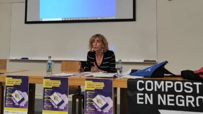 magistrada-titular-juzgado-instruccion-numero-santiago-compostela-ana
