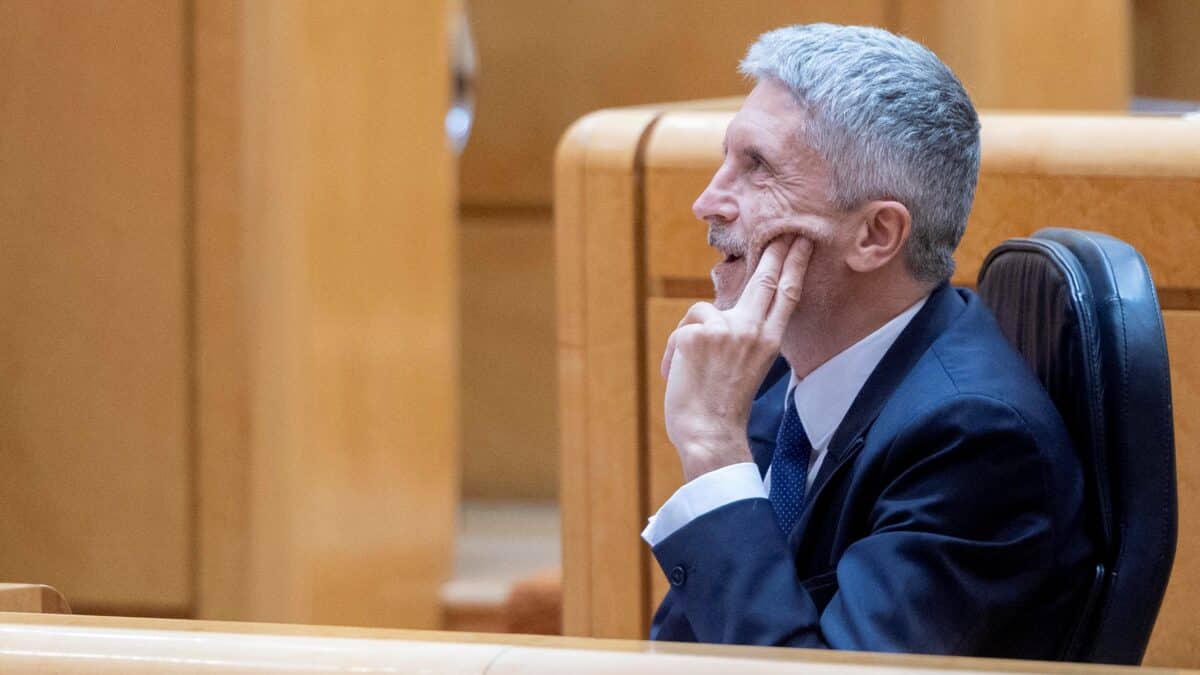 El ministro del Interior, Fernando Grande-Marlaska, en una sesión de control al Gobierno en el Senado.