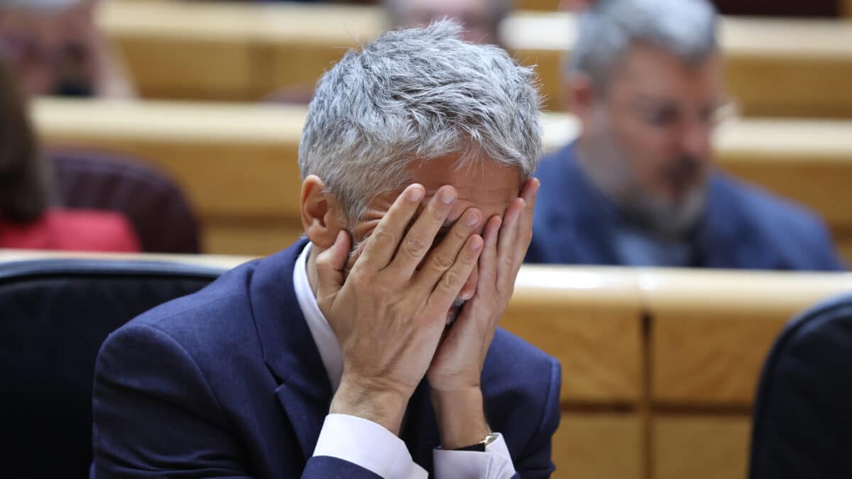 El ministro del Interior, Fernando Grande-Marlaska, durante un pleno en el Senado.