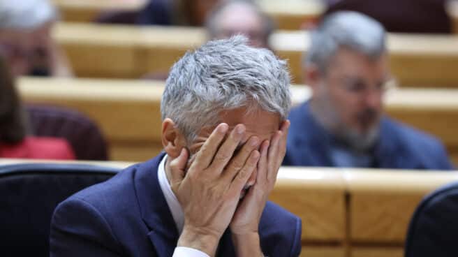 El ministro del Interior, Fernando Grande-Marlaska, durante un pleno en el Senado. El ministro del Interior, Fernando Grande-Marlaska, durante un pleno en el Senado.