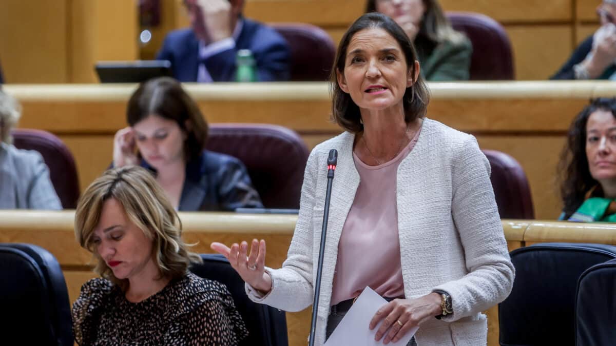 La ministra de Industria, Reyes Maroto, interviene durante la sesión de control al Gobierno en el Senado, este martes