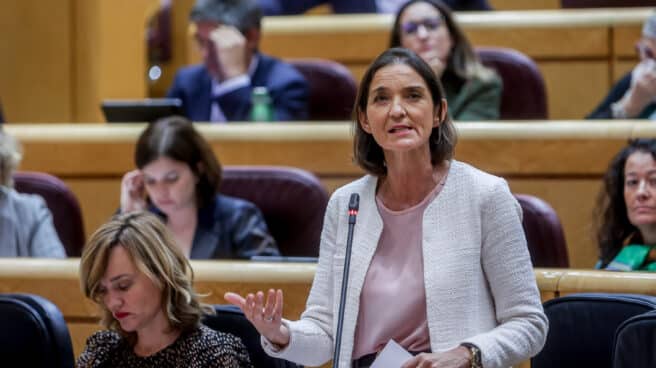 La ministra de Industria, Reyes Maroto, interviene durante la sesión de control al Gobierno en el Senado, este martes La ministra de Industria, Reyes Maroto, interviene durante la sesión de control al Gobierno en el Senado, este martes