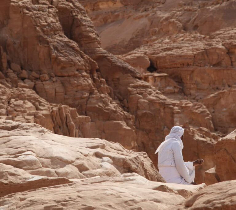 Los beduinos del Sinaí, los excluidos de la COP27