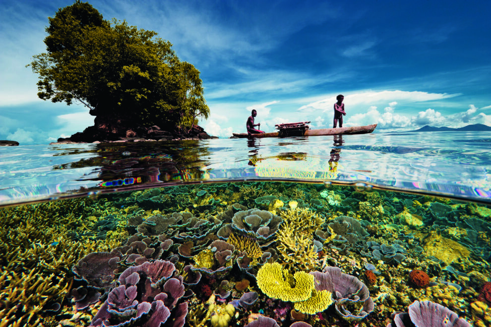 Corales en la Bahía de Kimbe en Papúa Nueva Guinea.
