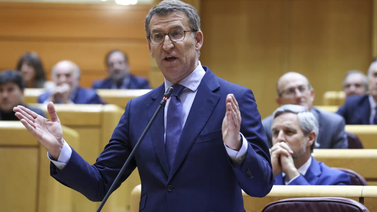 El líder del Partido Popular, Alberto Núñez Feijóo interviene durante el pleno del Senado, este miércoles en Madrid .