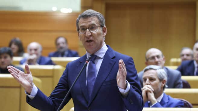 Pleno en el Senado El líder del Partido Popular, Alberto Núñez Feijóo interviene durante el pleno del Senado, este miércoles en Madrid .