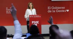 El PSOE discrepa de Podemos y desliza que obedecerá al TC si da la razón al PP