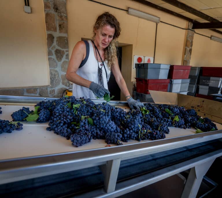 España alcanza las 10 millones de mujeres afiliadas por primera vez en la historia