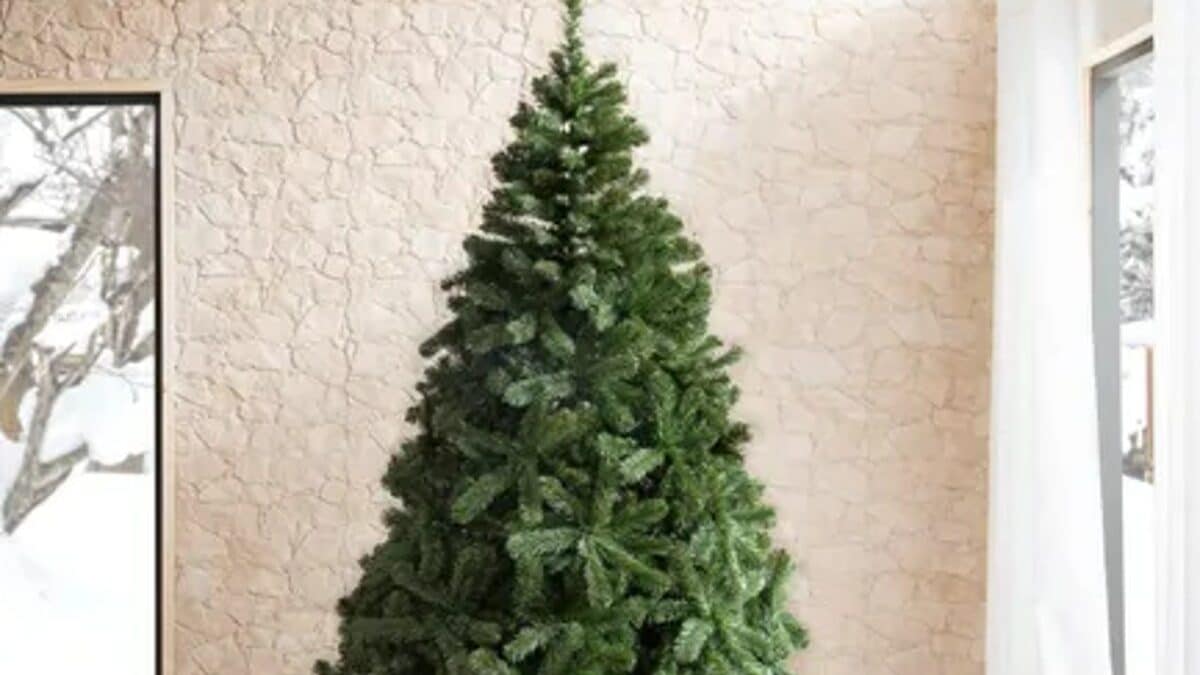 El mejor árbol de Navidad por mucho menos