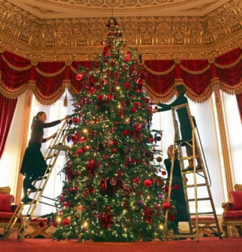 La asombrosa historia del árbol de Navidad: desde Babilonia hasta hoy