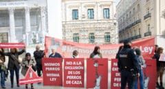 El PSOE tuerce el brazo a Podemos y saca adelante la enmienda que excluye a los perros de caza de la ley animal