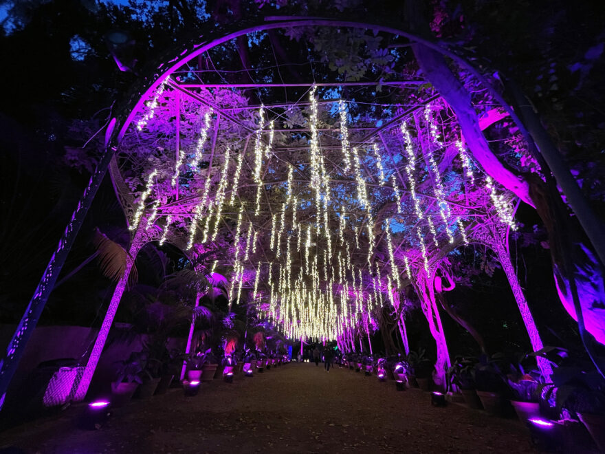 El espectáculo de Luces STELA - El Viaje de la Estrella de Oriente, que se puede disfrutar en el Jardín Botánico de la Concepción en Málaga