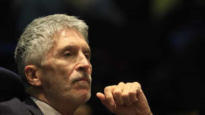 El ministro del Interior, Fernando Grande-Marlaska. El ministro del Interior, Fernando Grande-Marlaska.