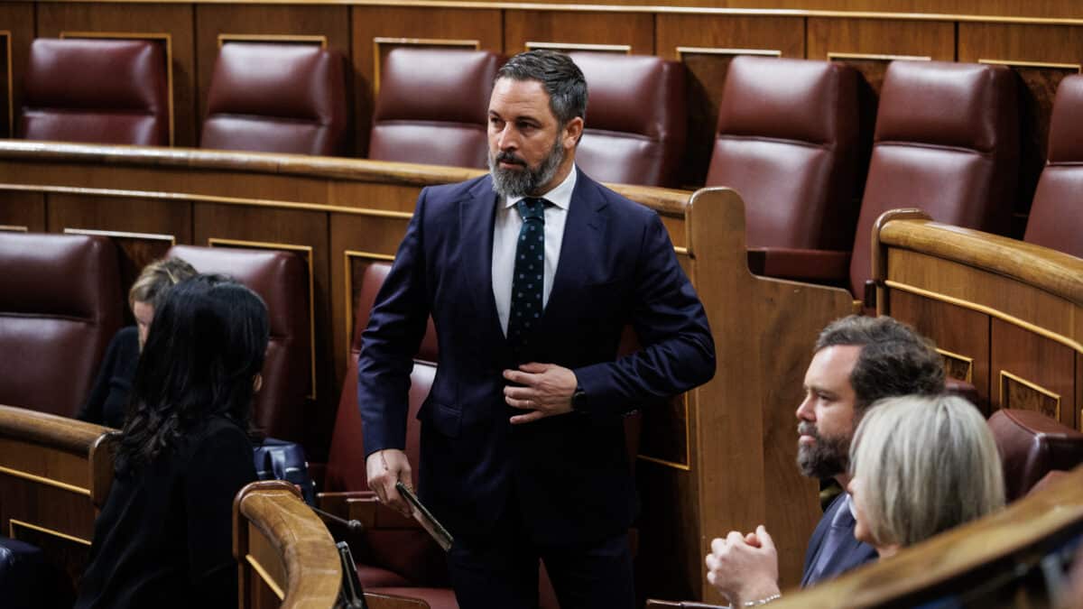 El presidente de Vox, Santiago Abascal, durante una sesión plenaria en el Congreso de los Diputados