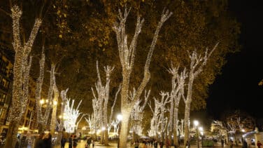Un apagón general interrumpe el encendido del alumbrado de Córdoba