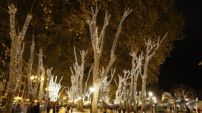 Un apagón general interrumpe el encendido del alumbrado de Córdoba 120 árboles luminosos