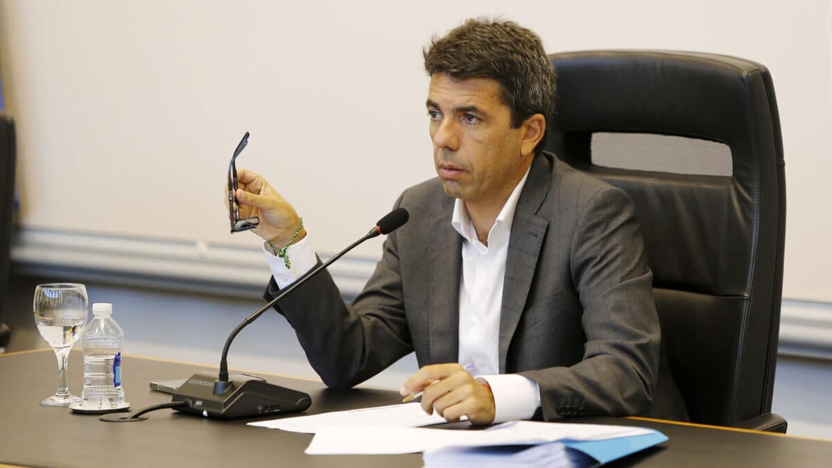 Carlos Mazón, en un pleno de la Diputación de Alicante.