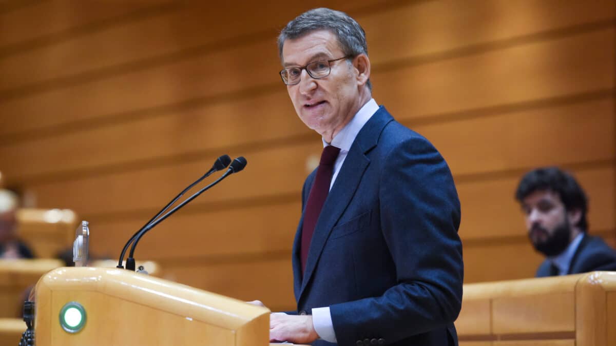 El presidente del Partido Popular, Alberto Núñez Feijóo, interviene en el Senado.