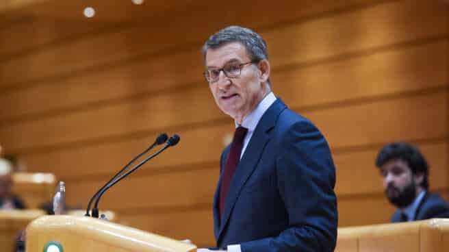 El presidente del Partido Popular, Alberto Núñez Feijóo, interviene en el Senado.