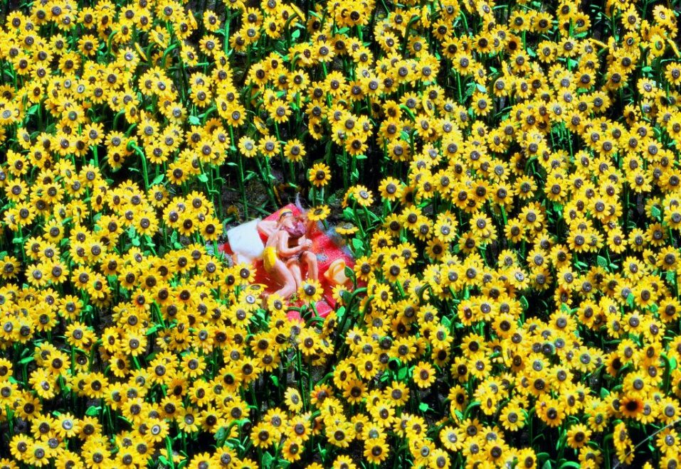 Detalle de una pareja de enamorados en medio de un campo de girasoles.