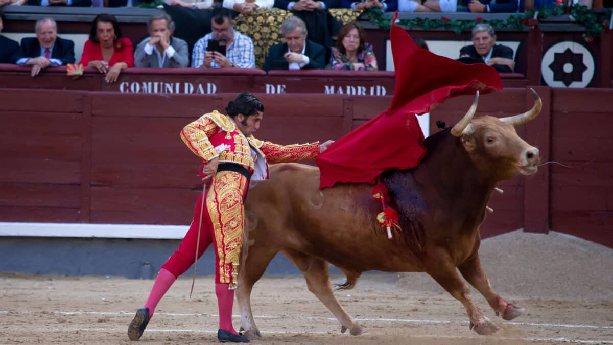 Morante de la Puebla, durante la Corrida de la Beneficencia el pasado junio en Las Ventas.