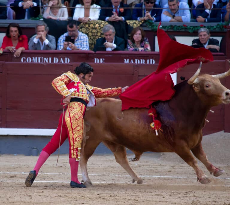 Los festejos taurinos siguen al alza con el mayor número de corridas desde 2012