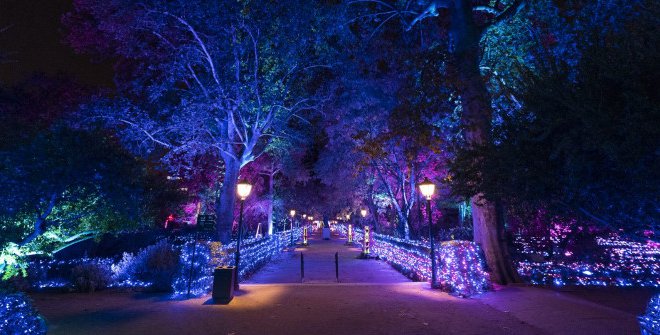 El jardín botánico de Madrid iluminado por la noche con luces azules y moradas