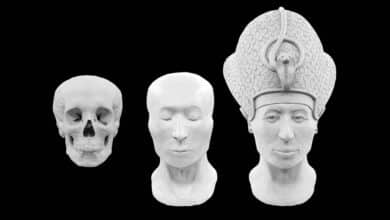 Tutankamón da la cara: la primera reconstrucción facial del faraón