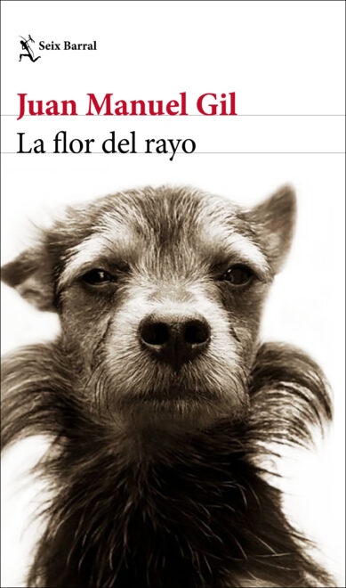 Portada de 'La flor del rayo'