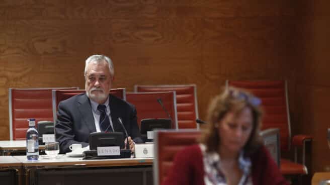 Comparecencia de José Antonio Griñán ante la comisión de investigación sobre financiación de los partidos políticos del Senado