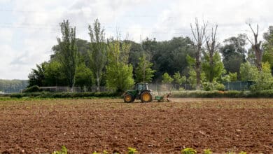 Purines para gas natural y podas para maquinaria: la alianza entre Repsol y Asaja para transformar el campo