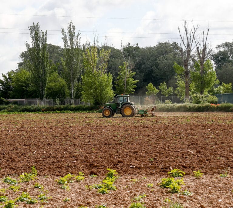 Purines para gas natural y podas para maquinaria: la alianza entre Repsol y Asaja para transformar el campo