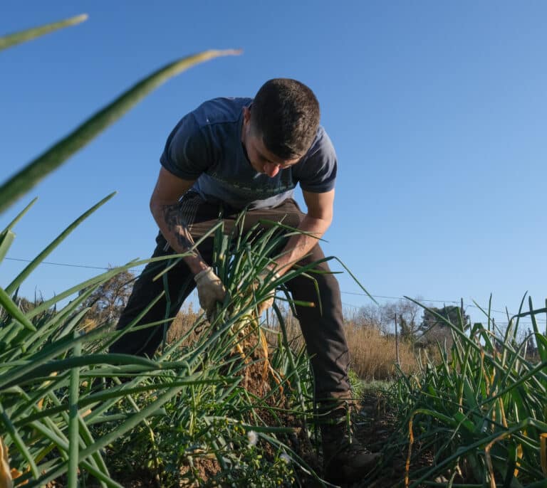 La carta de agricultores y ganaderos a los Reyes Magos: "Reglas del juego justas y democracia en el campo"