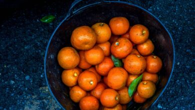 Crecen las alertas por las frutas importadas de Turquía y Egipto mientras el 70% siguen sin pasar controles