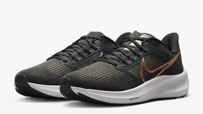 Nacional cooperar Especificidad Las zapatillas running Nike Pegasus ¡tienen un 40% de descuento!