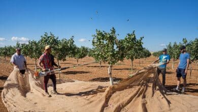 España busca trabajadores en el extranjero con un 12% de paro: ¿quiénes son esos desempleados irreductibles?