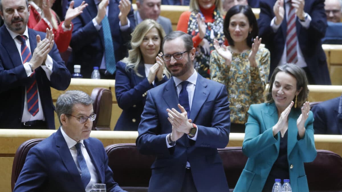 El líder del PP, Alberto Núñez Feijóo, este martes en el Senado.