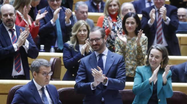 El líder del PP, Alberto Núñez Feijóo, este martes en el Senado.