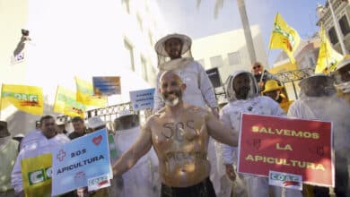 La sospechosa miel ucraniana que arruina a los apicultores en España: "Es imposible que compitamos"