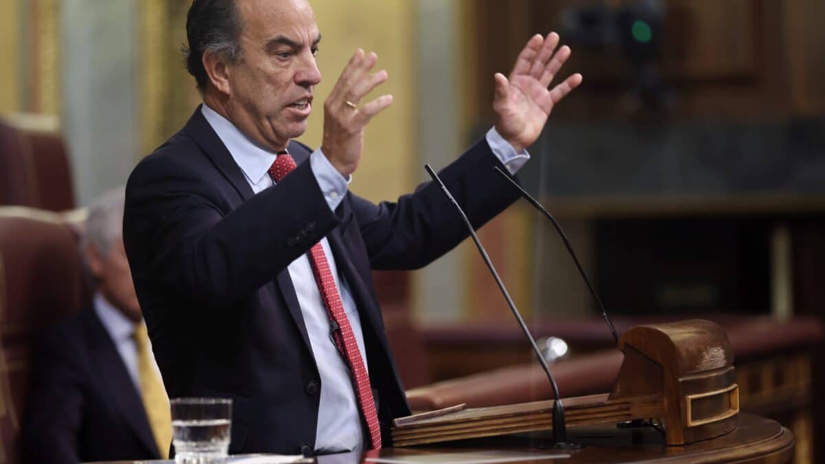 El diputado de UPN Carlos García Adanero, interviene en el Congreso de los Diputados.