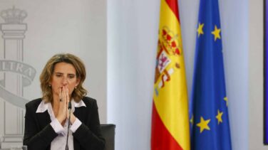 La salida de Ribera del Gobierno facilitaría el aterrizaje de su marido al frente del nuevo regulador energético