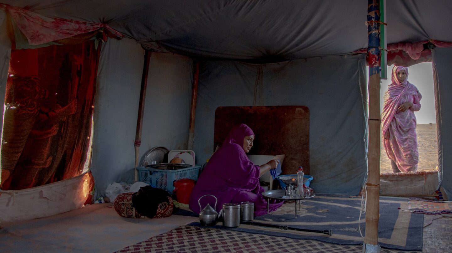 Los nómadas del desierto saharaui y la guerra que los alejó de sus camellos