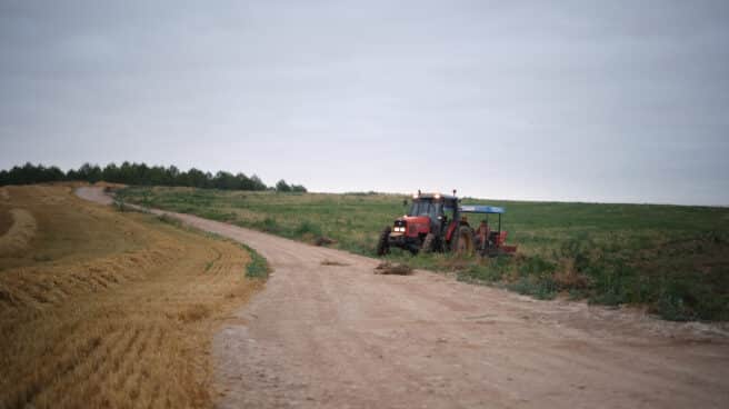Un tractor, en una imagen de archivo, durante la campaña de recogida de verano.