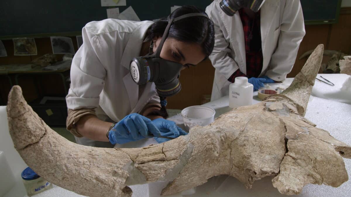 Investigadores analizando los restos encontrados en la cueva de Madrid,