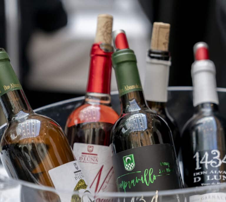 Diez 'Vinos de Madrid' distinguidos en los Premios Bacchus