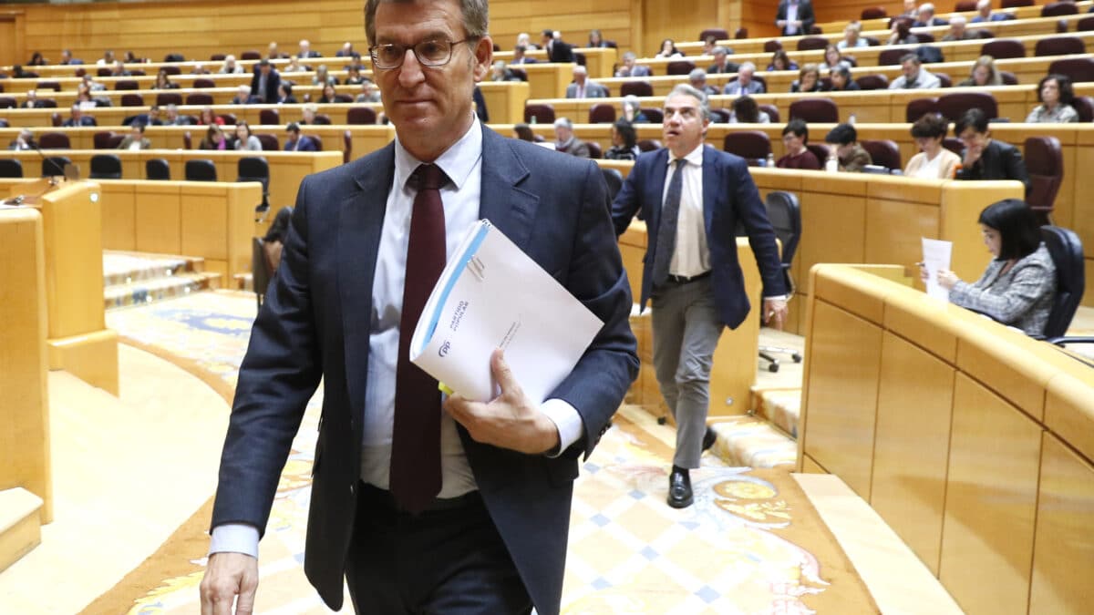 El líder del PP, Alberto Núñez Feijóo, durante la sesión de control que celebra el pleno del Senado este martes.