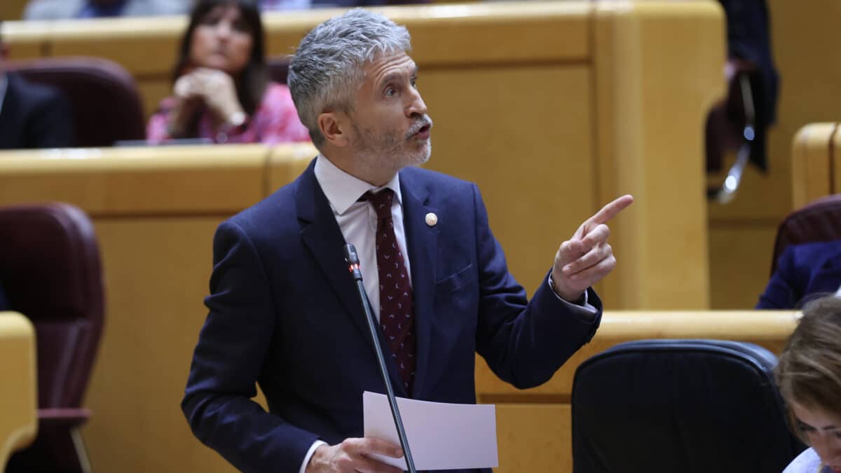 Marlaska, en el pleno del Senado.